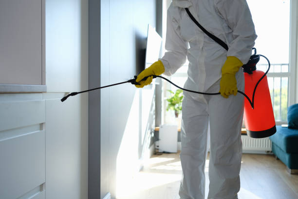 Office Mold Removal Services in Fairfield Plantation, GA